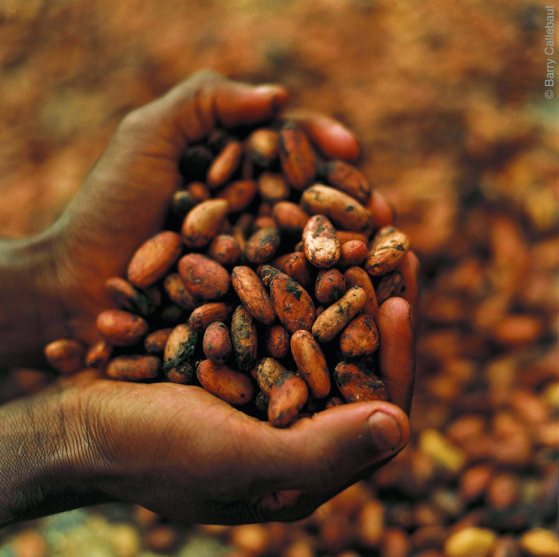 Barry Callebaut proud to return as host sponsor for the CMAA International Cocoa Conference