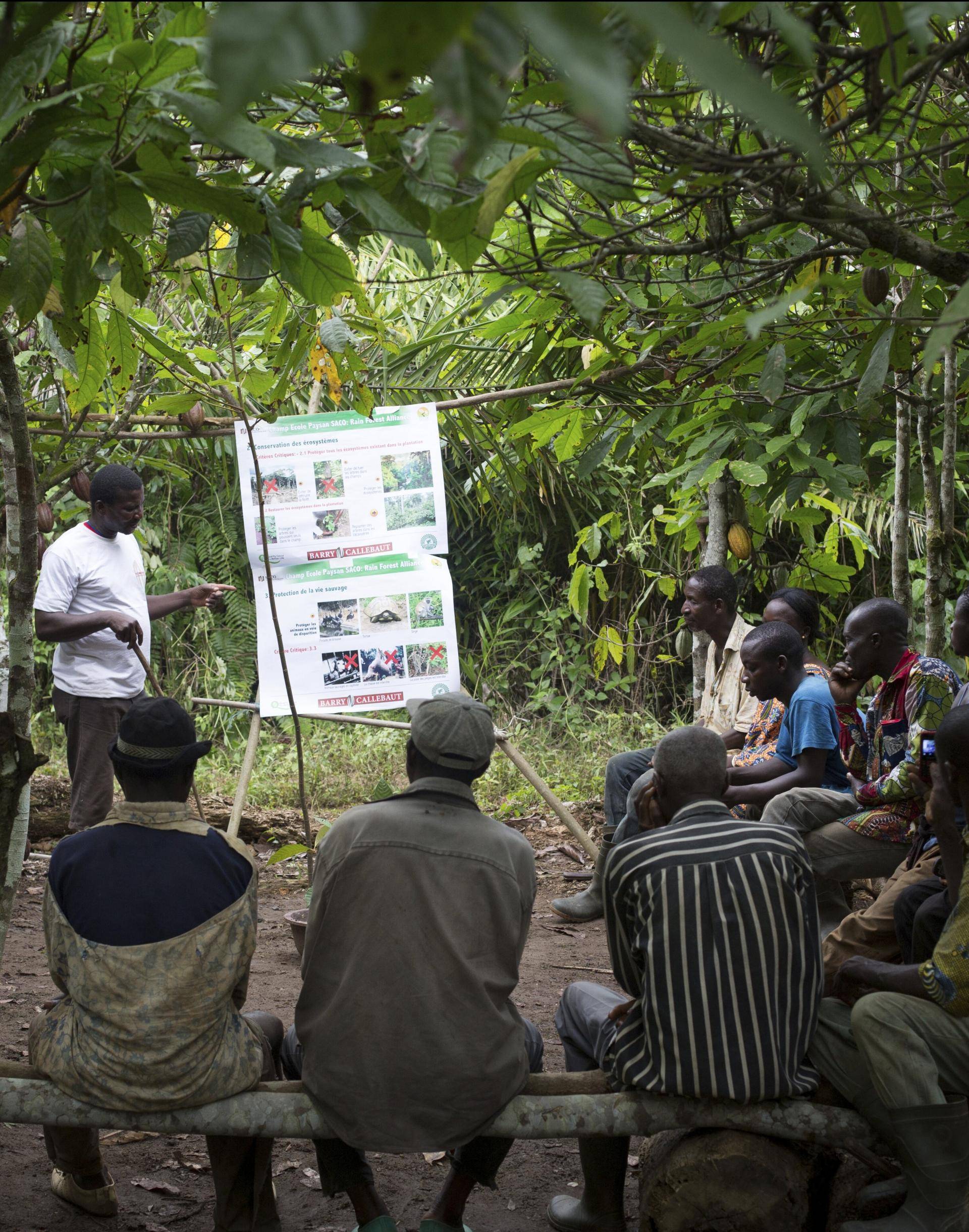 farmer field school