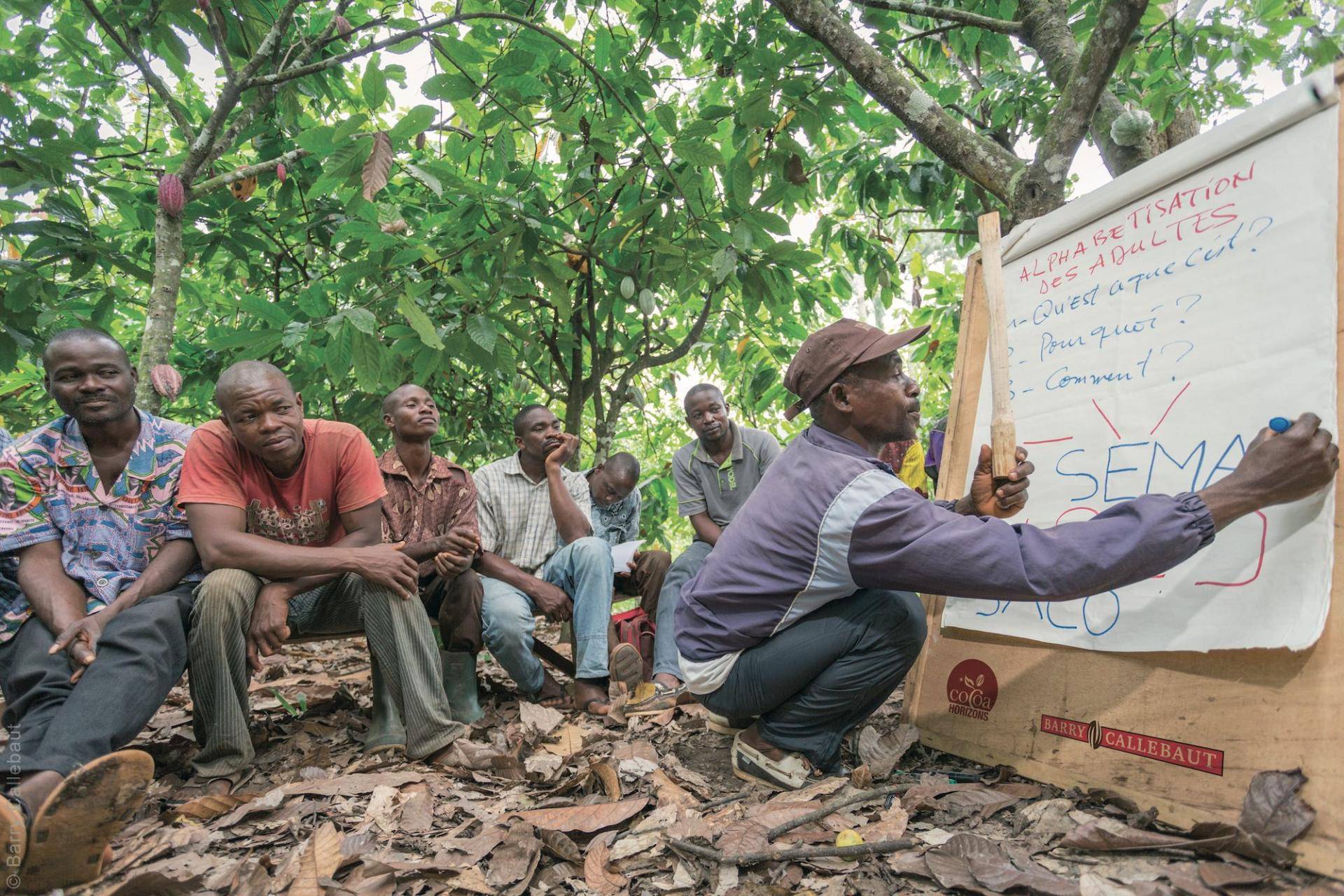 Cocoa farmer training in Côte d'Ivoire