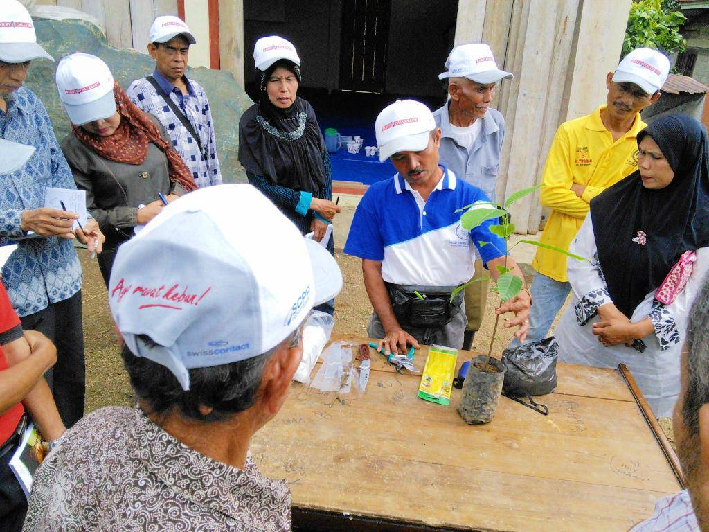 cocoa farmers in Indonesia 