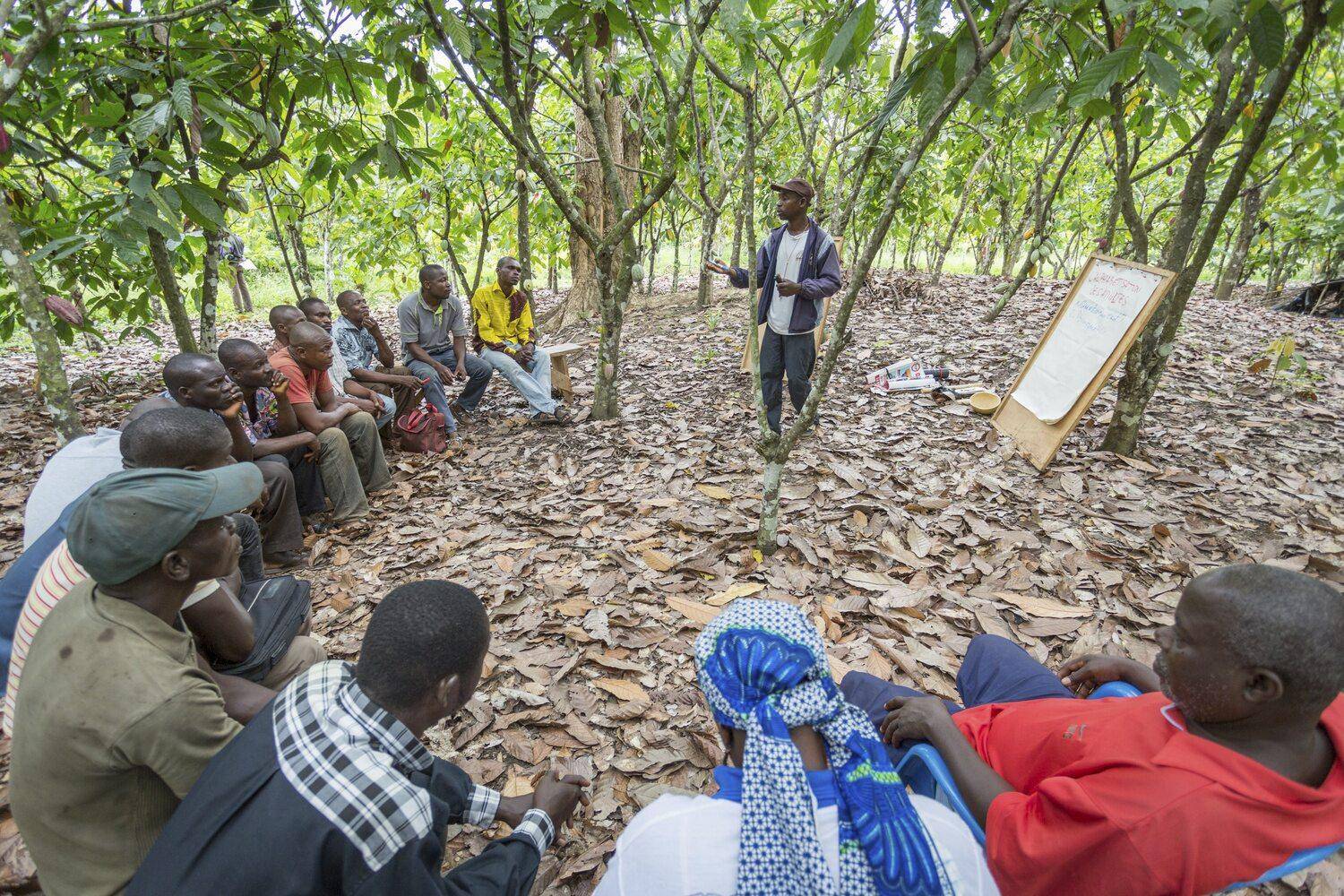 farmer field school