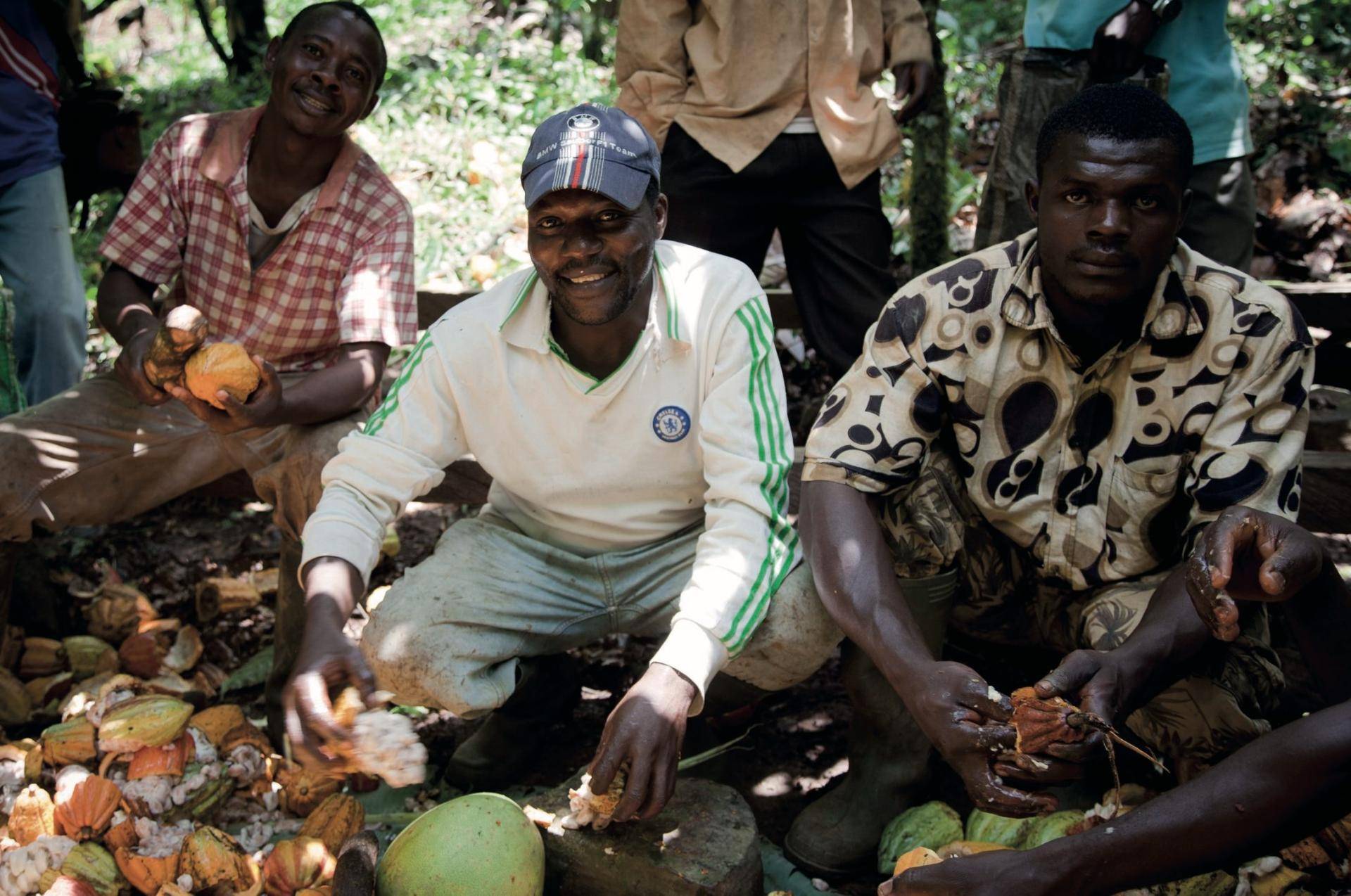 Barry Callebaut trains 50 cooperatives in Côte d’Ivoire to be certified by Rainforest Alliance