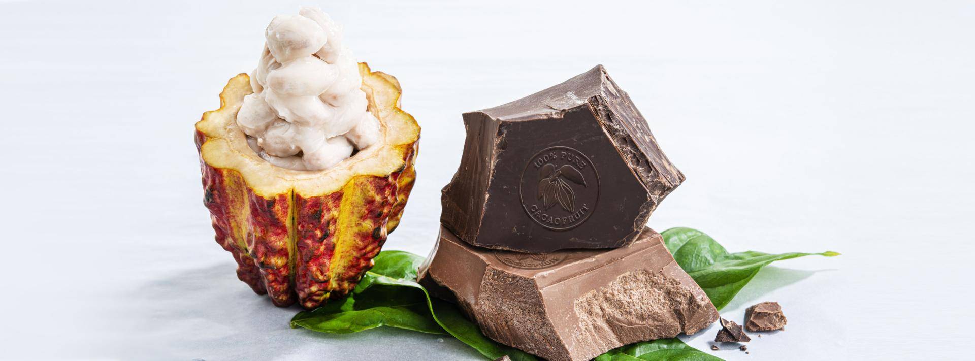 Barry Callebaut WholeFruit Chocolate