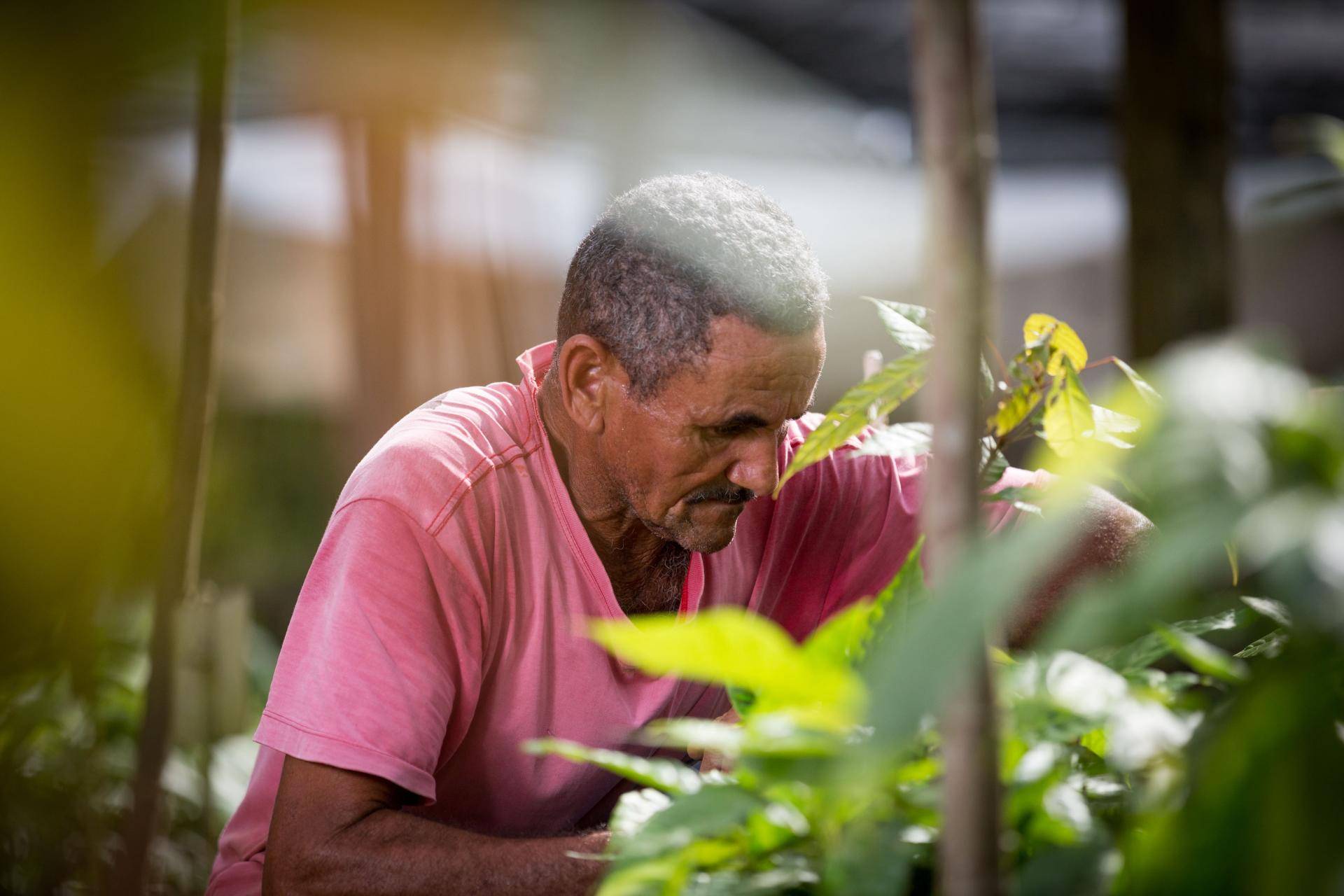 Barry Callebaut - Brazil - Cocoa Farmer