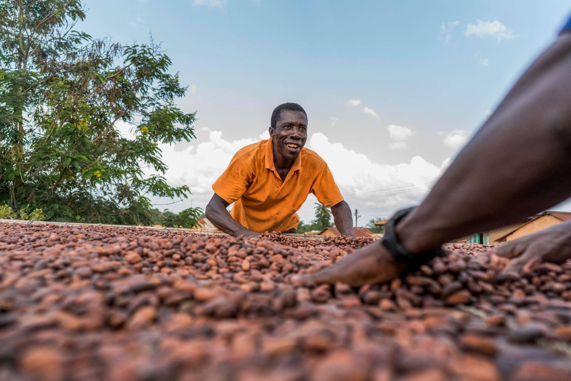 Cocoa farmer