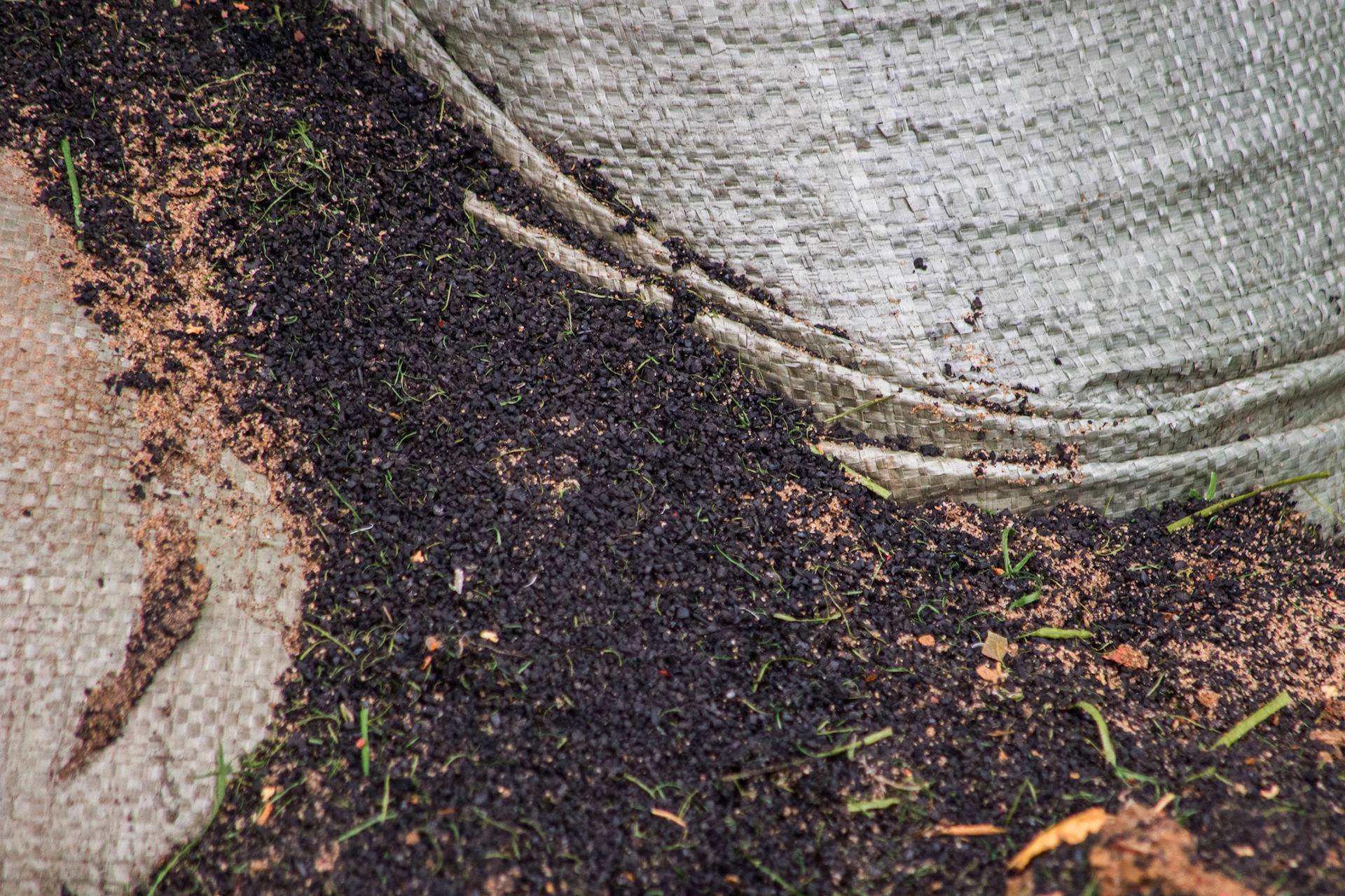 biochar: the power to reduce carbon emissions and produce green energy