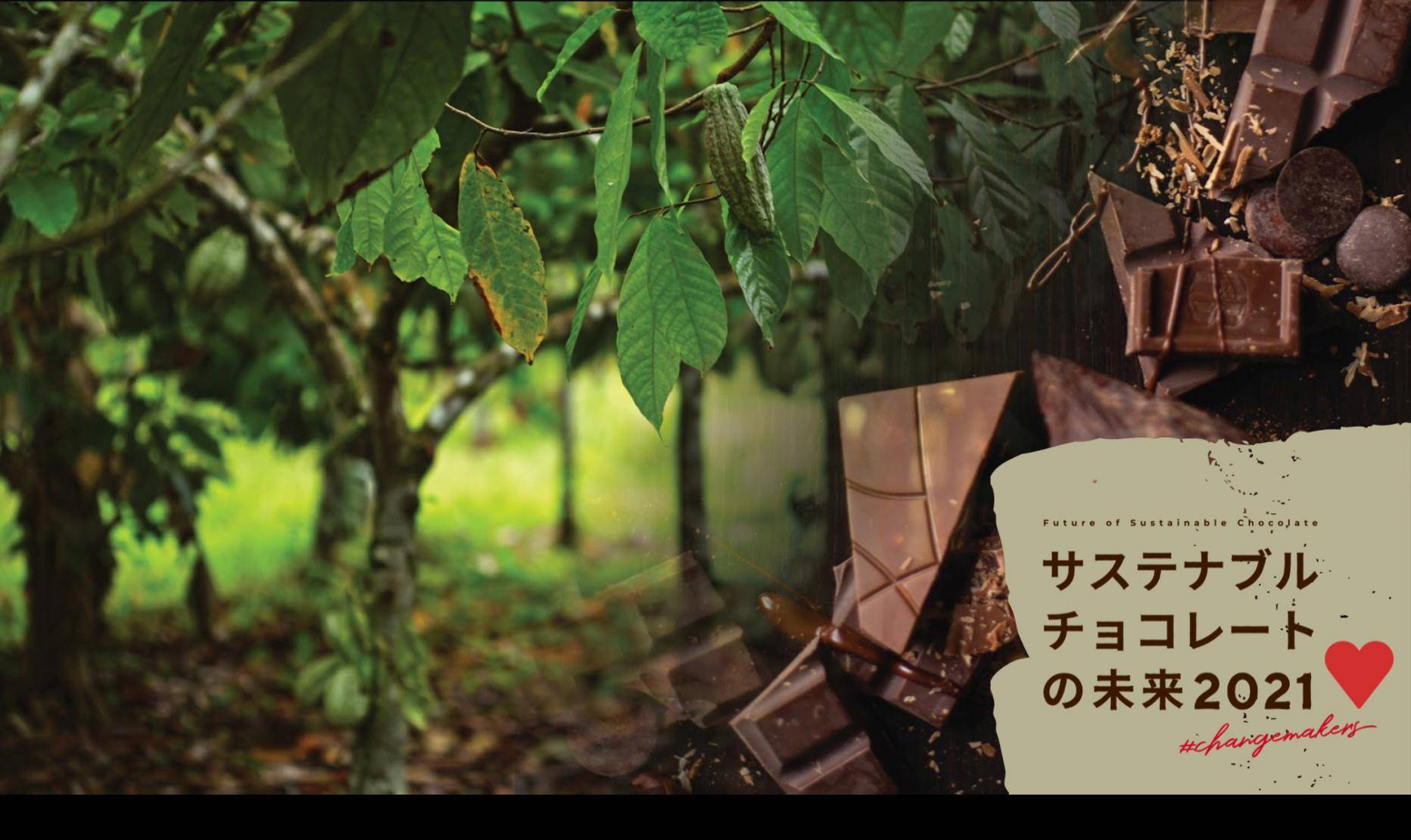 Japan Chocolate Cocoa Sustainability