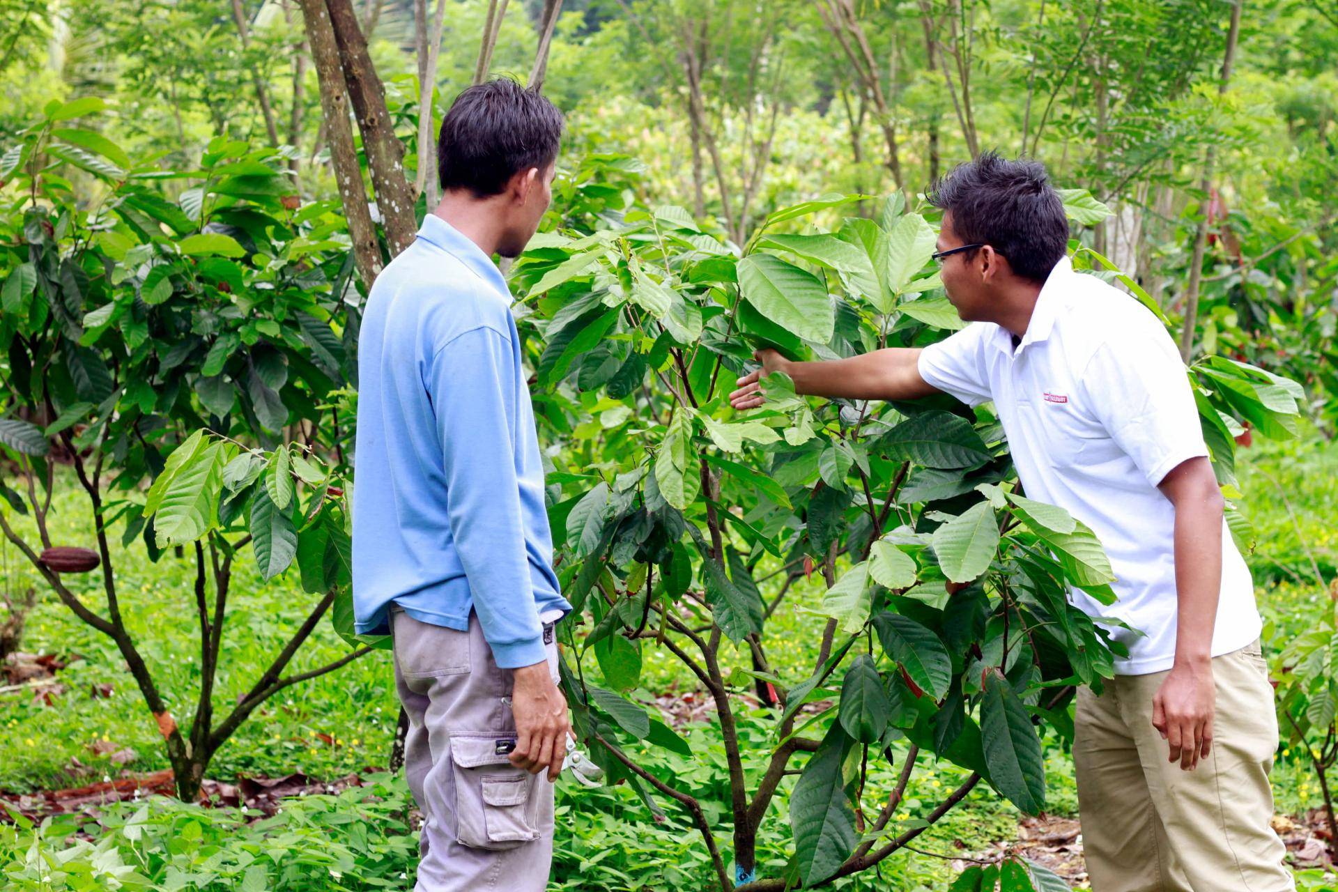 ESG Roadshow/Webinar - Barry Callebaut