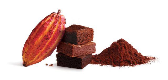 Bensdorp The finest Cocoa powders for bakery applications