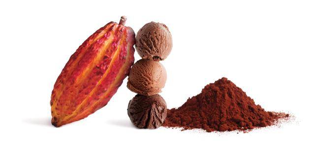 Bensdorp cocoa powders for ice cream 