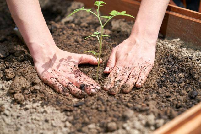 Seeds for Change - Barry Callebaut