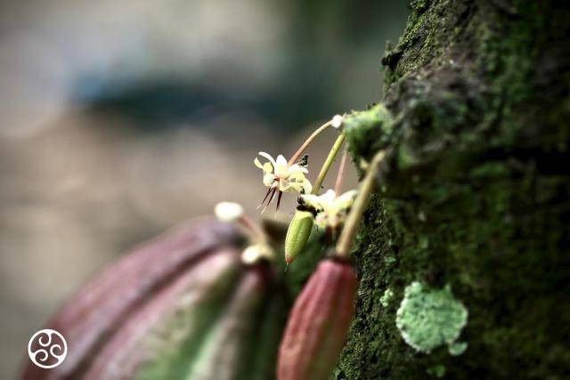 Shareholders’ participation Barry Callebaut