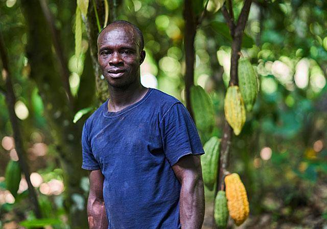 Cocoa Horizons cocoa farmer