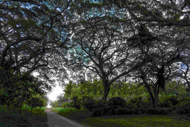 Tiassalé R&D center