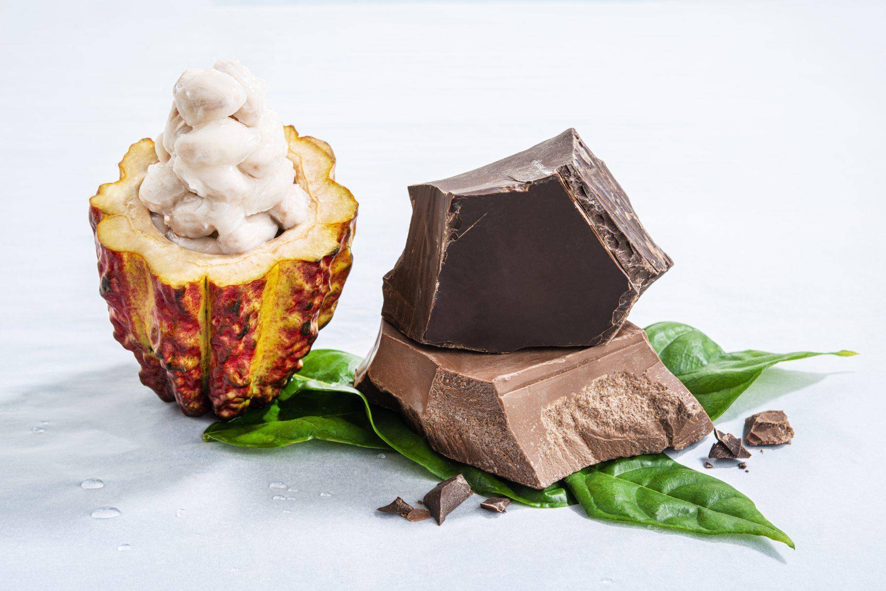 Barry Callebaut Annual Report 2019-20 Sustainability