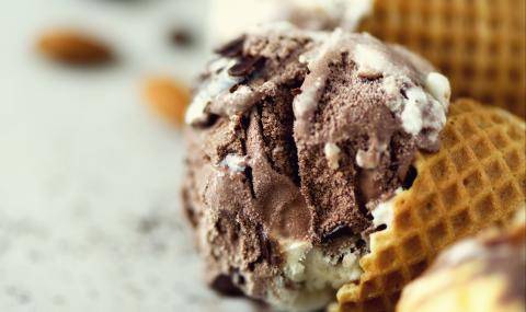 Cocoa Seminar Ice Cream