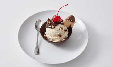 Ice Cream sundae with inclusions