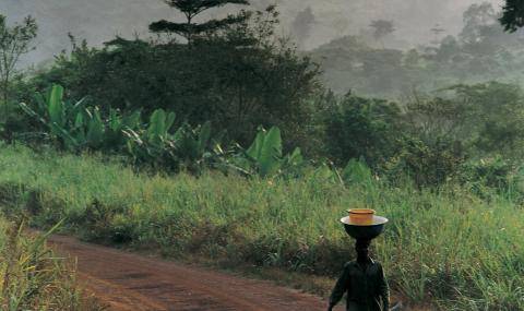 carbon-and-forest-positive-by-2025