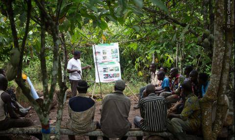 Barry Callebaut, Sustainability