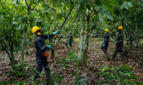 Prospering farmers 2022 sustainability Barry Callebaut