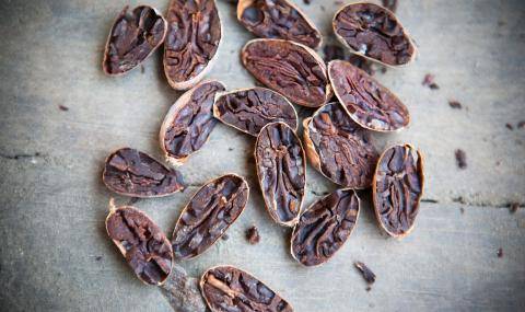 Signature flavors from cacao beans