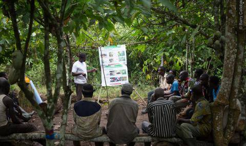 farmer field school