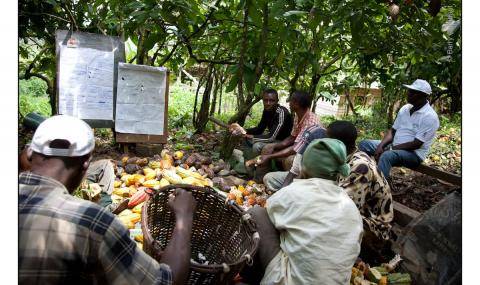 Farmer field school