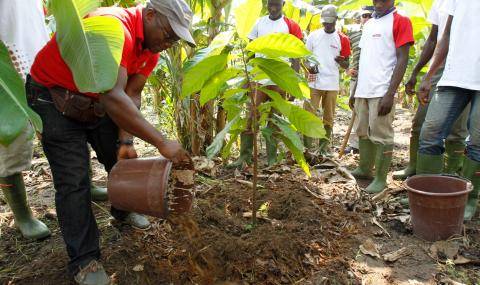 The Barry Callebaut Group – Chocolate Sustainability Report 2014/15 - improving productivity