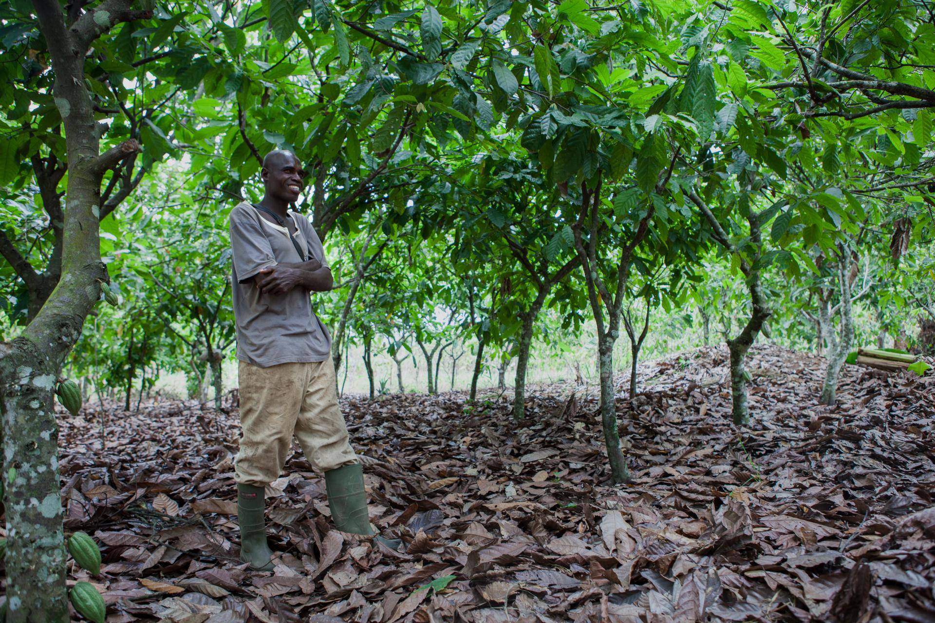 Cocoa farmer