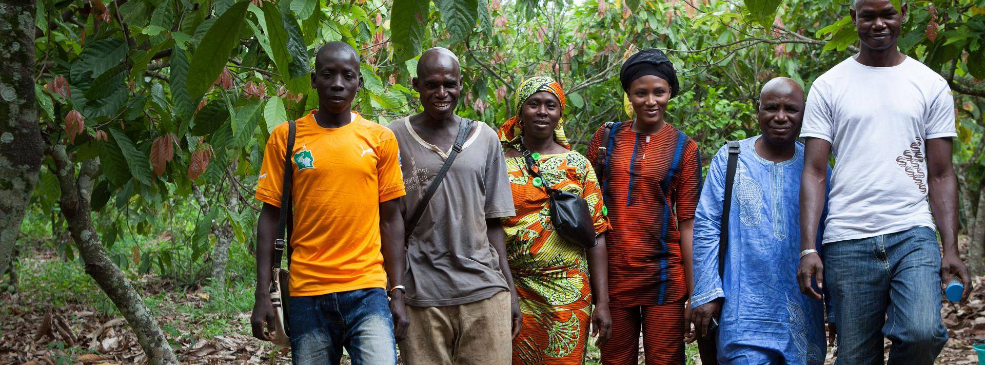 Cocoa Horizons sustainable cocoa farming