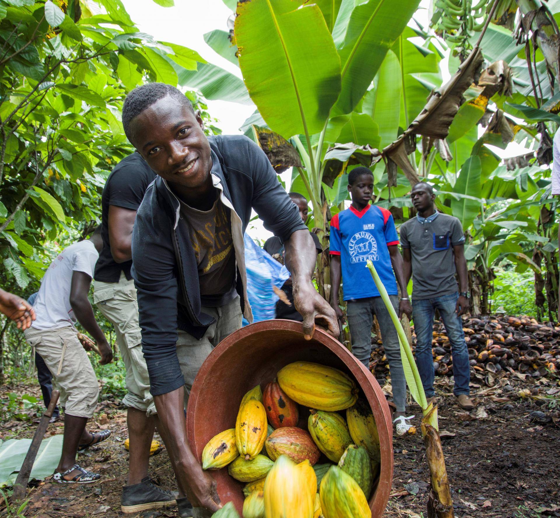 cocoa training