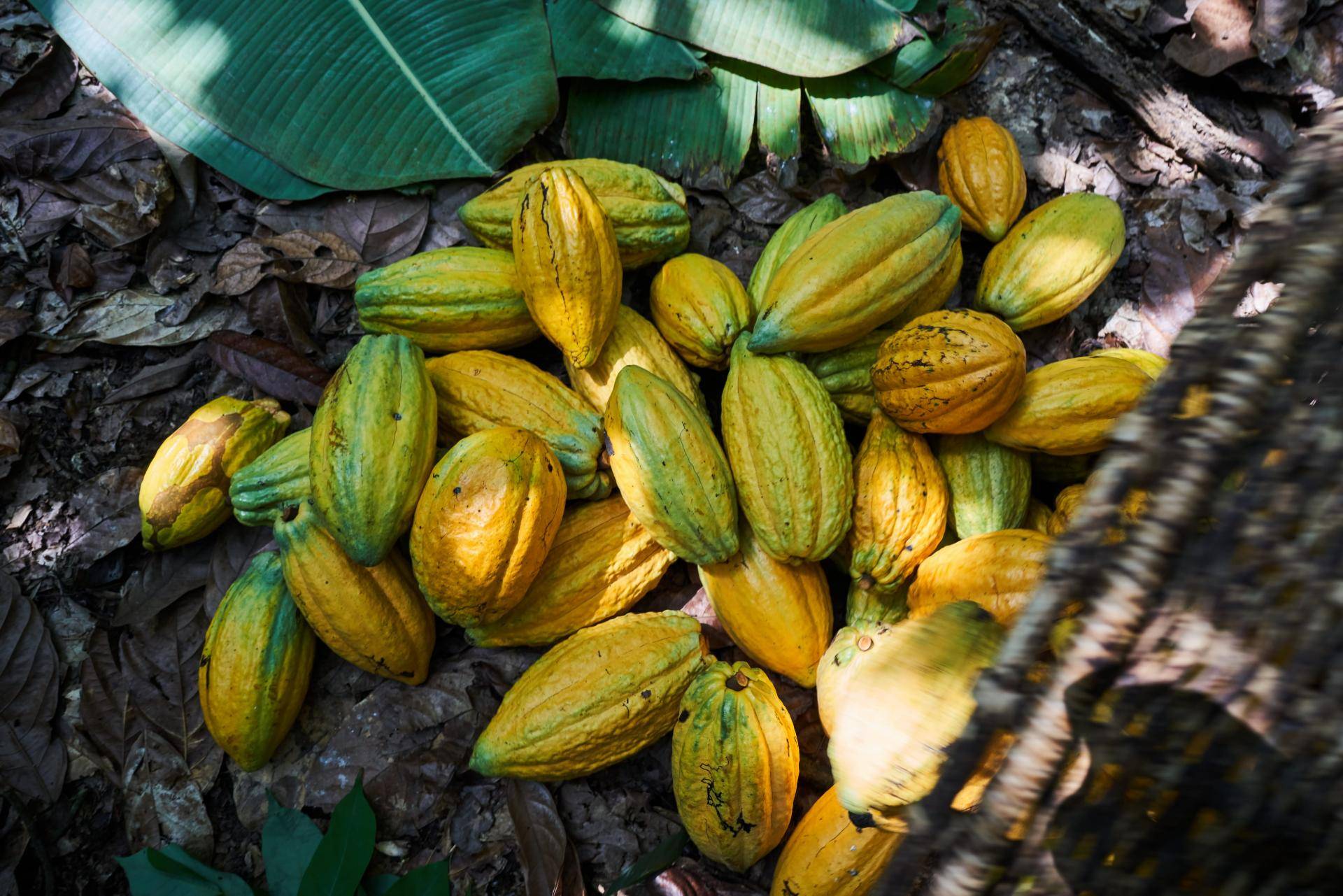 Barry Callebaut Awards and Recognition