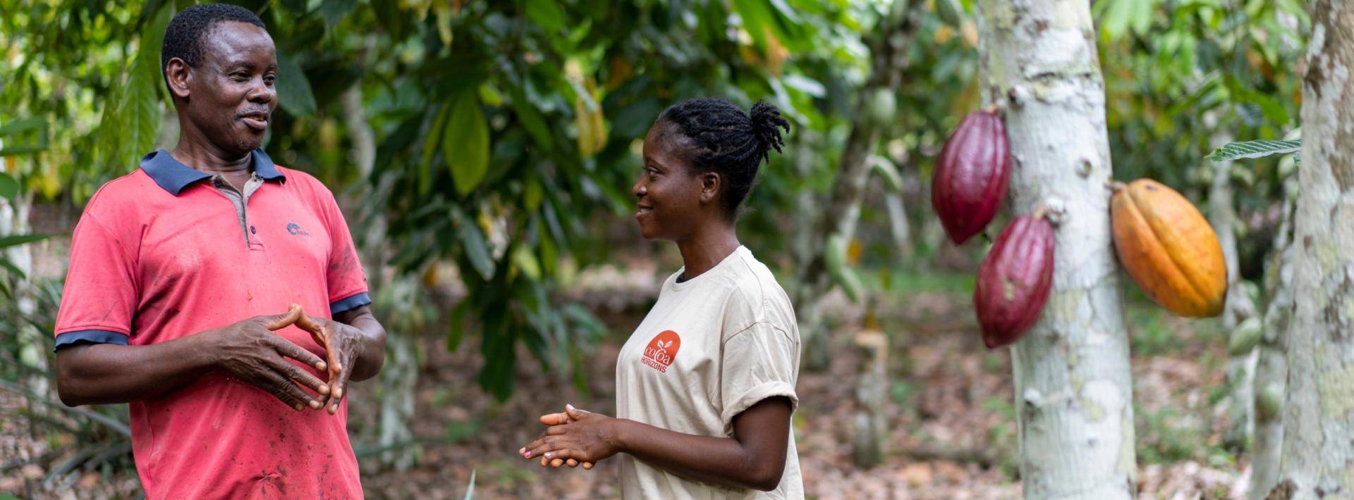 Cocoa horizons coach with farmer