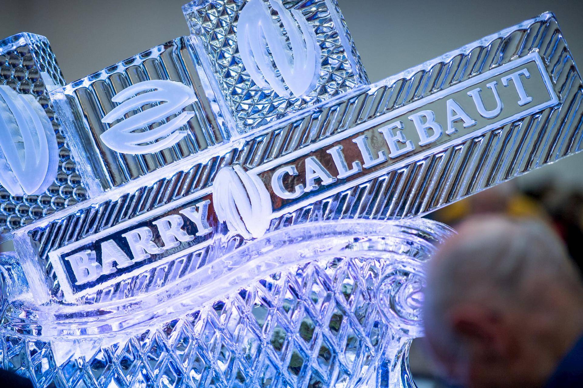 Barry Callebaut Group - Corporate governance