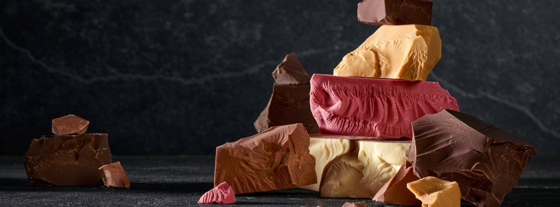 Barry Callebaut Masters of Taste