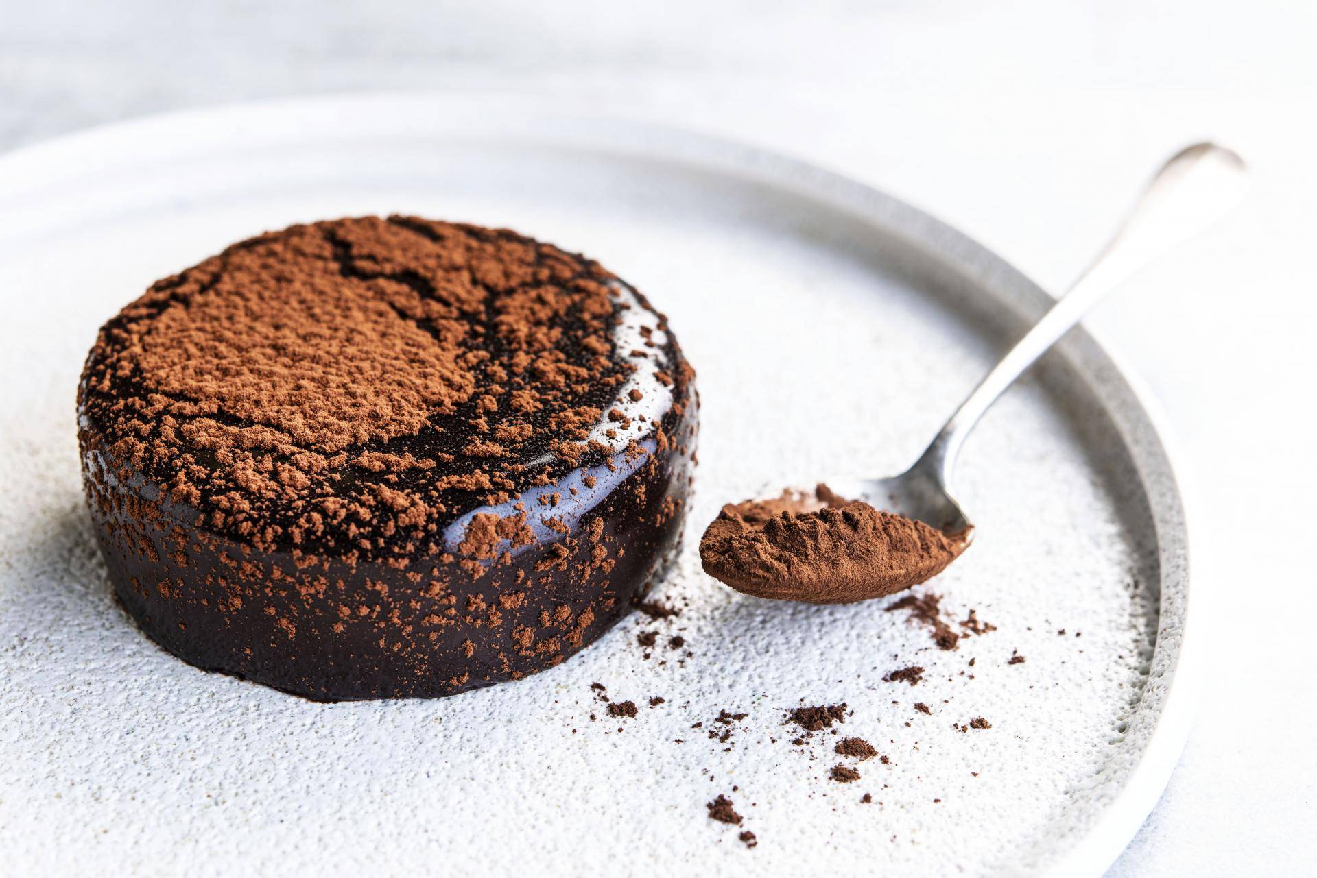 Lenotre made with Organic Dark Chocolate powder and Dusting cocoa powder