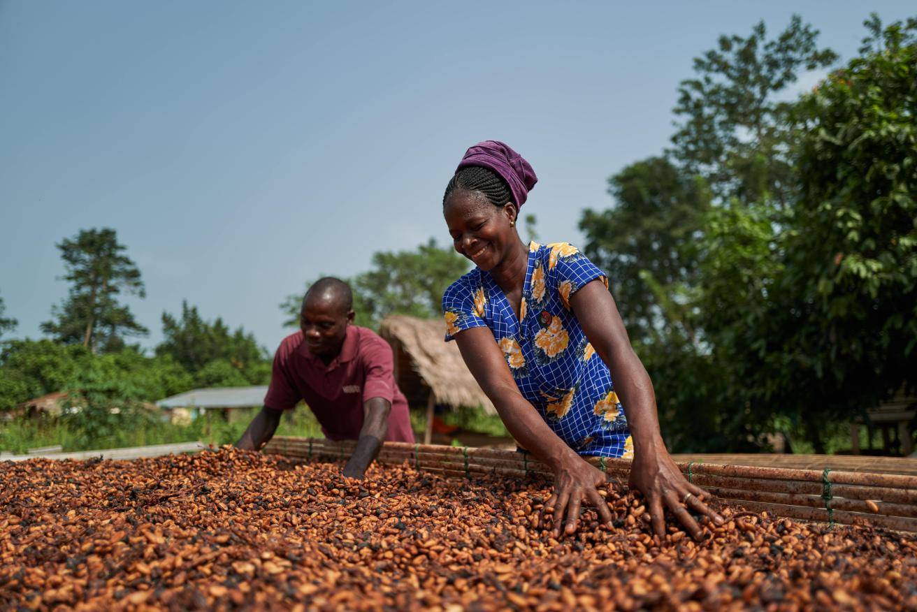Bean drying Ghana