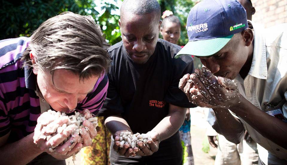 Quality cocoa beans