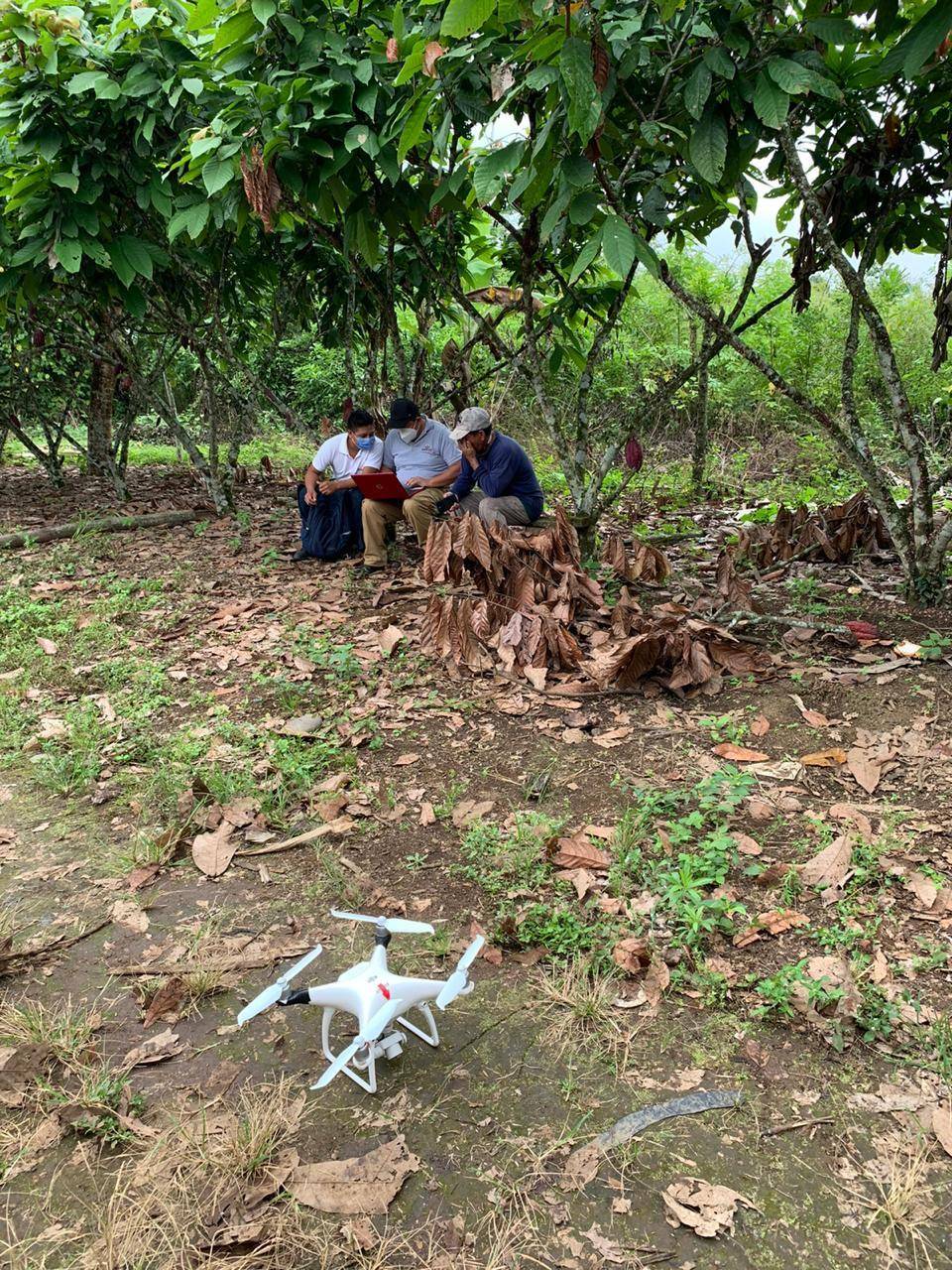 Farm mapping was undertaken by drone technology