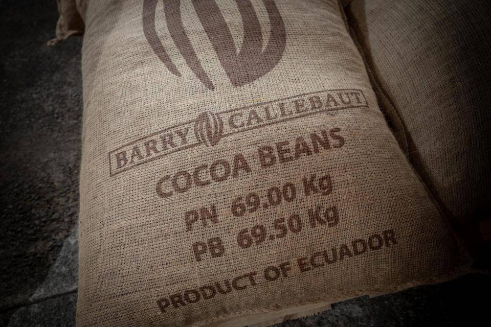 Sustainable cocoa - Forever Chocolate