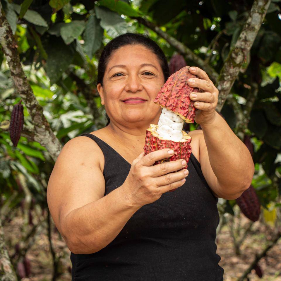 farmer with cacaofruit