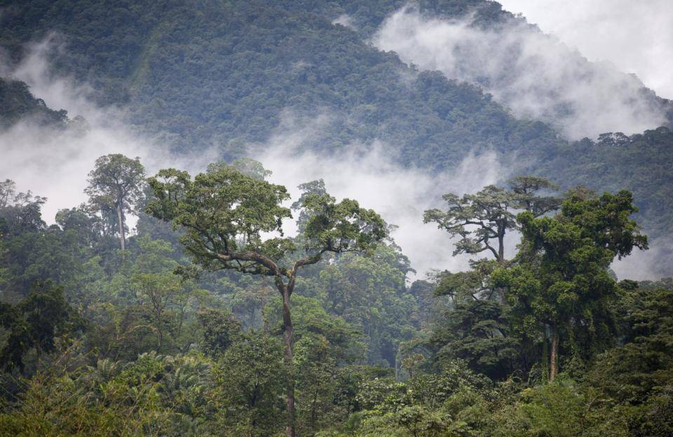 Image of Madagascar (leading supplier of vanilla)