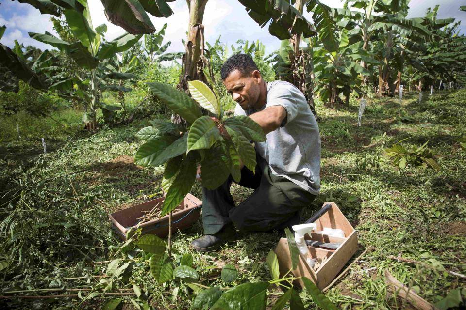 Person farming