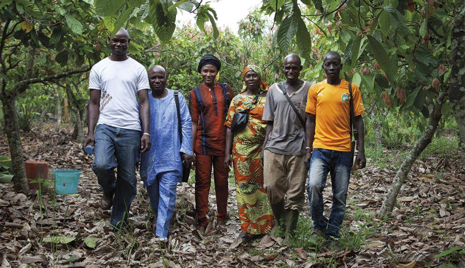 van houten sustainability cocoa horizons