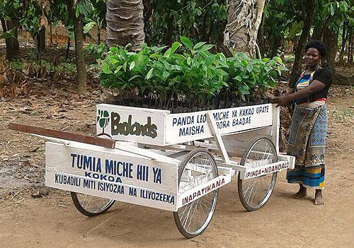 Joyce Iponja, Senior nursery assistant, Tanzania