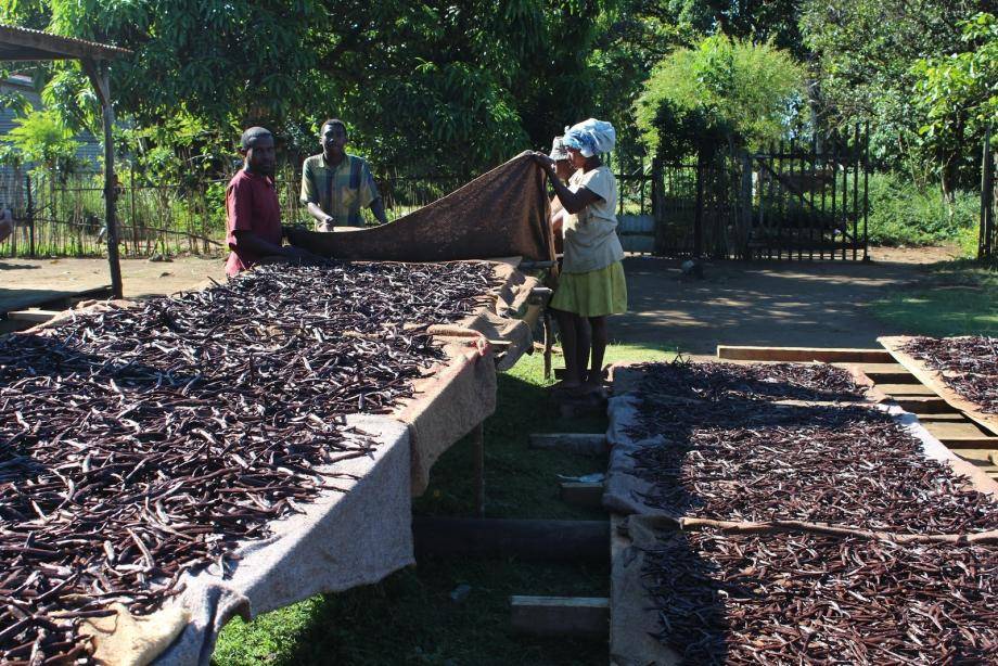 Barry Callebaut Commodity Risk Management Services Team