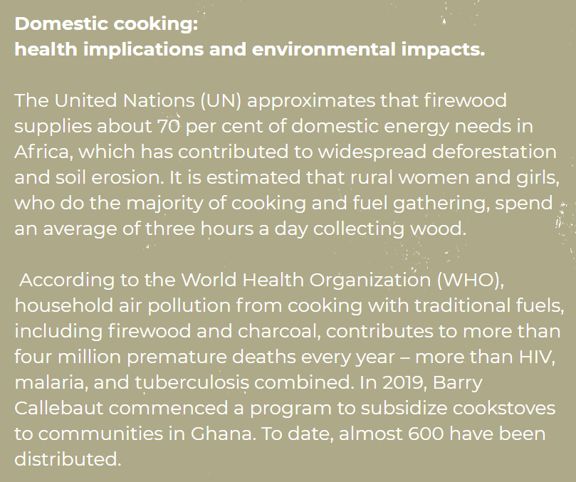 Domestic cooking - deforestation