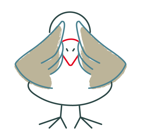 bird that looks anxious