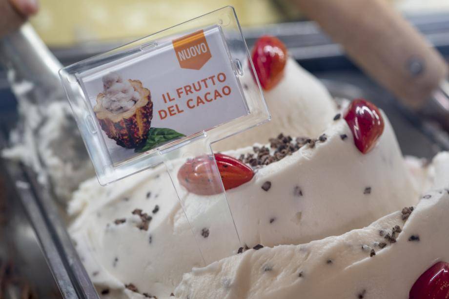 il frutto del cacao cacoafruit gelato mix