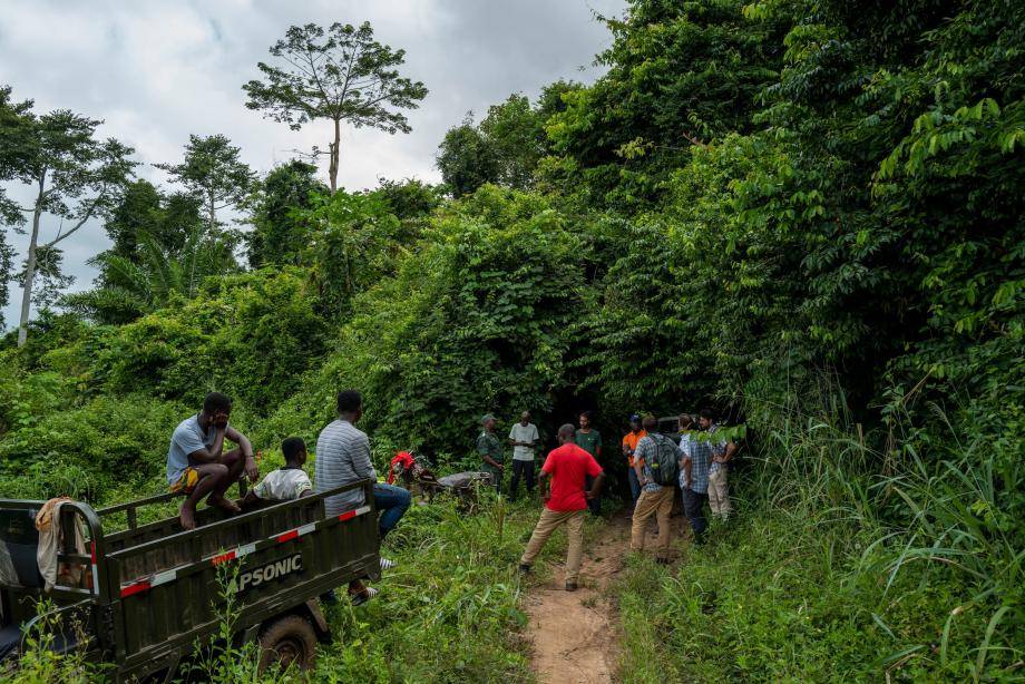 Training and employment in forest management
